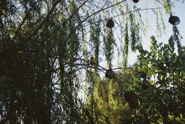 otters-bend-jan-05-pic-22