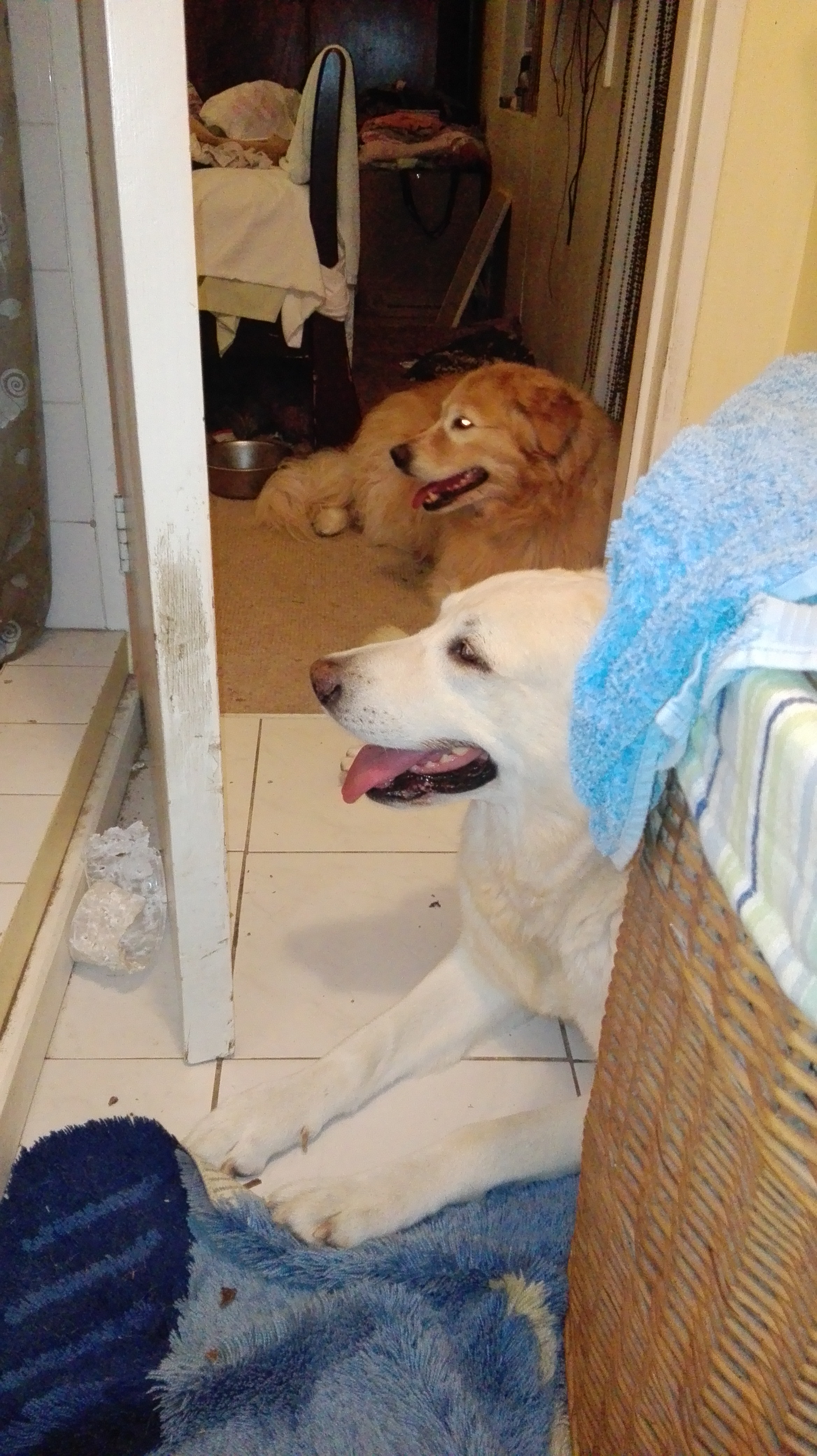 FB_IMG_1487358294822